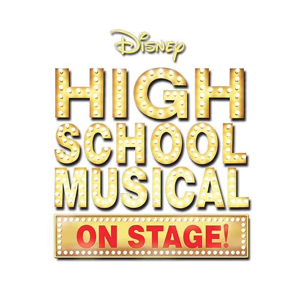 Wrights Iron On Transfer Disney HS Musical Group 