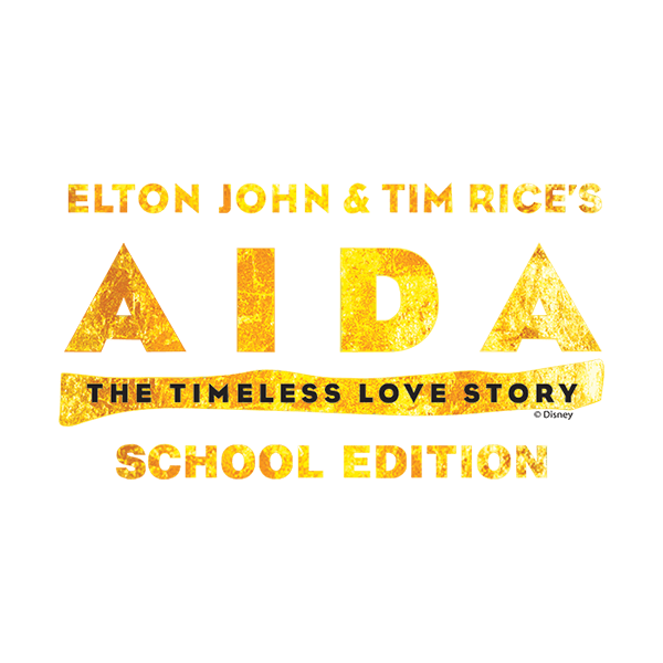 MTI Aida School Edition Logo